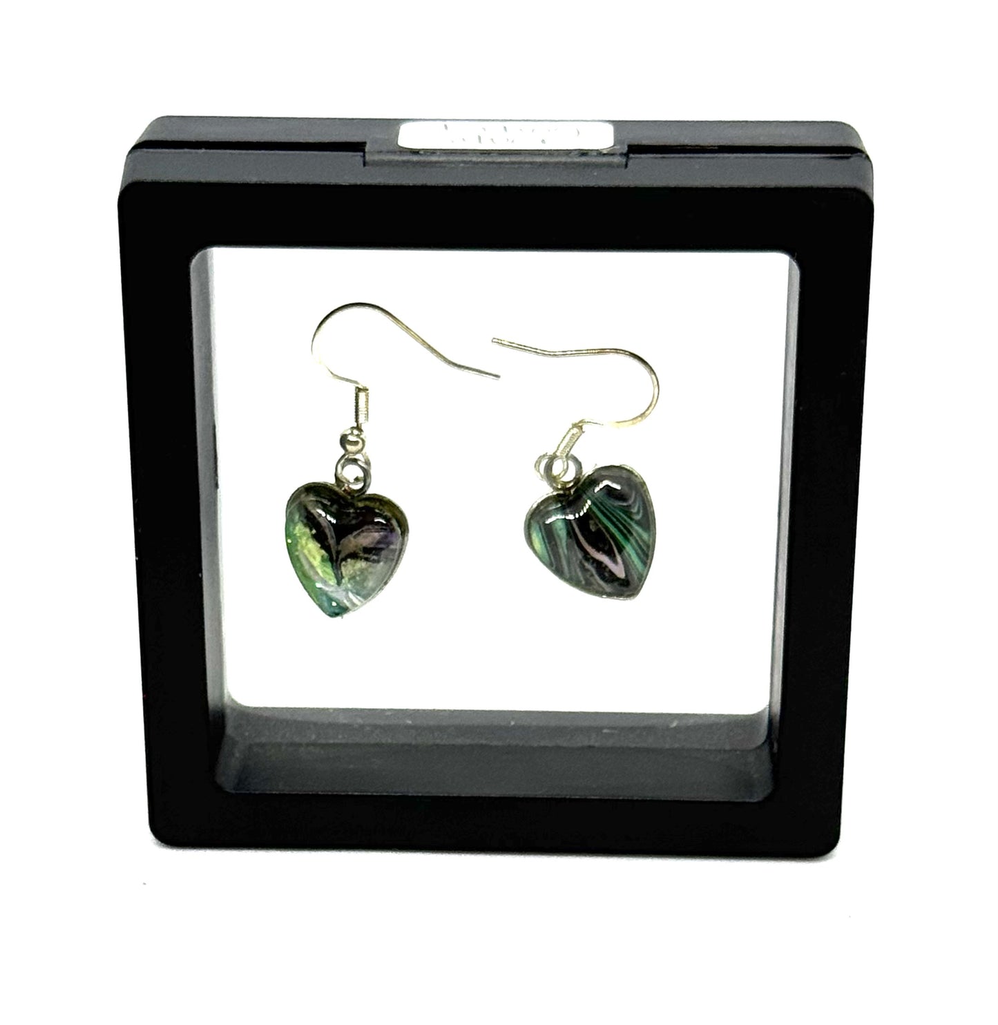 #8S Chaos Wrapped in a Heart Sterling Silver Glass Dome Earrings