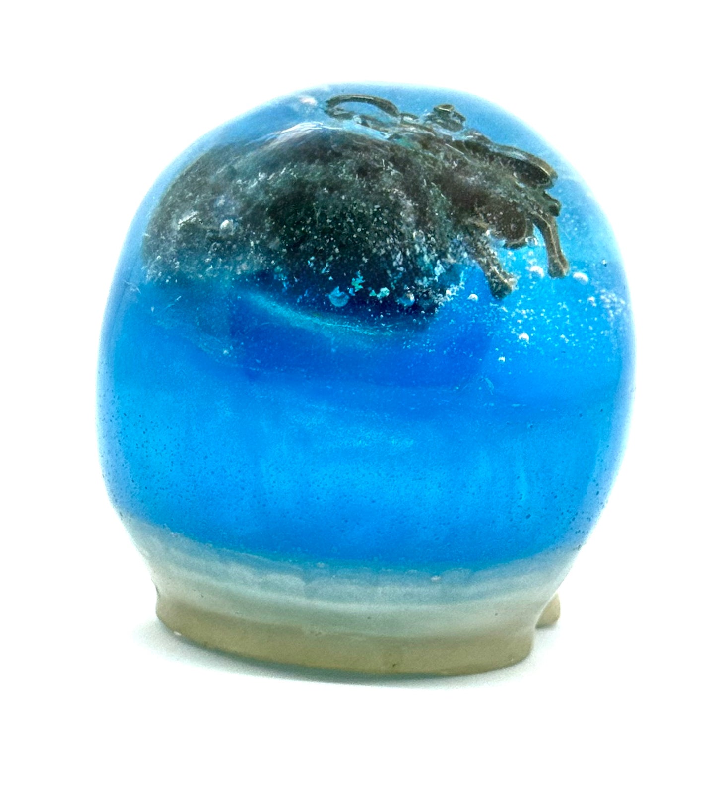 “Bugged Thoughts” Resin Skull w/ Scarab Core — One-of-a-Kind FDSS Chaos Skull | Handmade Gothic Art Decor | Creepy Cool Statement Piece