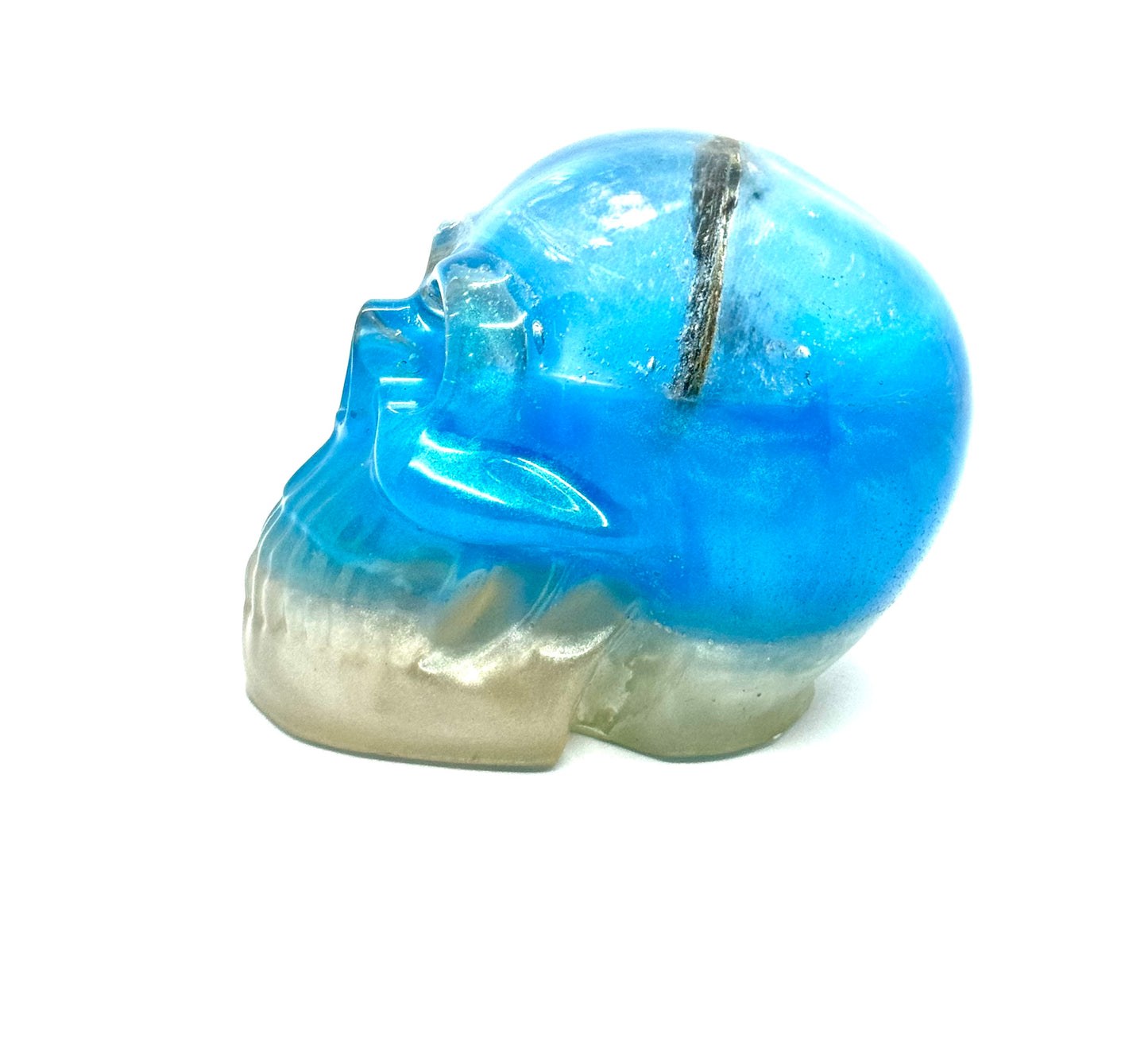 “Bugged Thoughts” Resin Skull w/ Scarab Core — One-of-a-Kind FDSS Chaos Skull | Handmade Gothic Art Decor | Creepy Cool Statement Piece